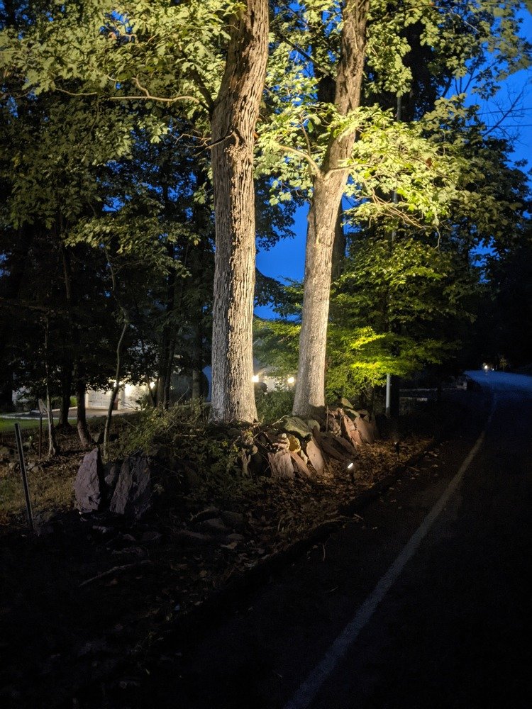 PXL_20211005_230531626.NIGHT